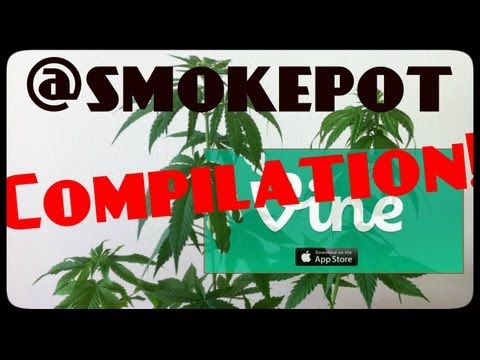 Weed and Cannabis VINE Compilation - Medical Marijuana Home Grow Op Clips