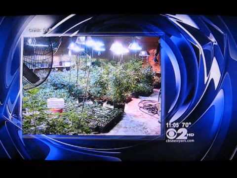 Westchester mom accused of running multimillion-dollar marijuana operation from Queens warehouse