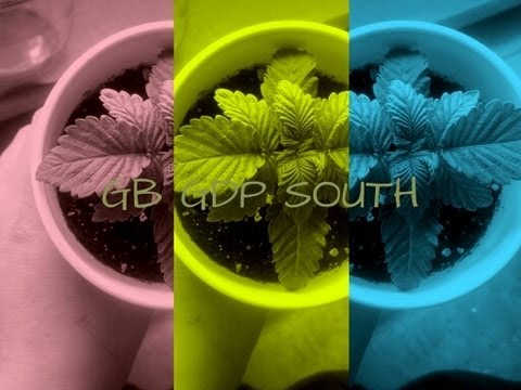 GB GDP South week 2