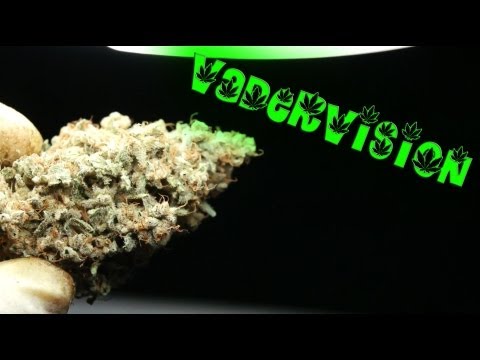 VaderVision - Trimming up some Sleeping Dog Buds
