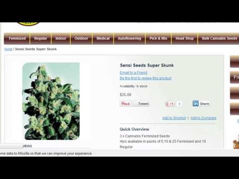 Ordering Cannabis Seeds Online USA/World Pot College Review Best Seed Bank