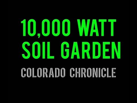 10,000 Watt Soil Grow Show! -- Colorado Chronicle -- Episode 94
