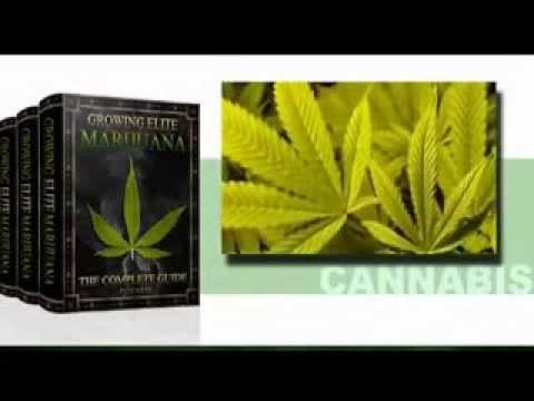 Growing Elite Marijuana Book