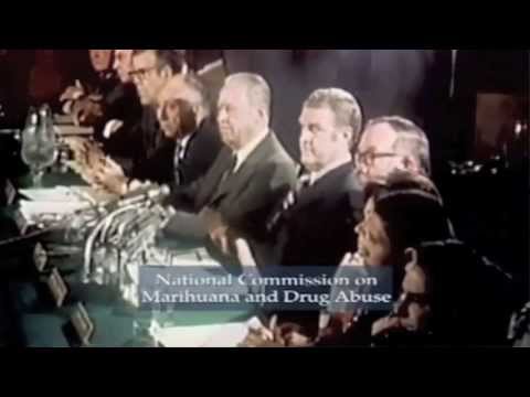 Marijuana (CANNABIS): Effects on Human Health [Full Documentary]