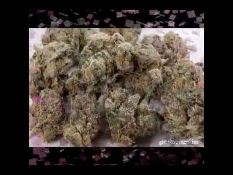 Best Marijuana Strains 2013