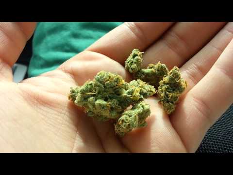 Medical Marijuana SHOWCASE 