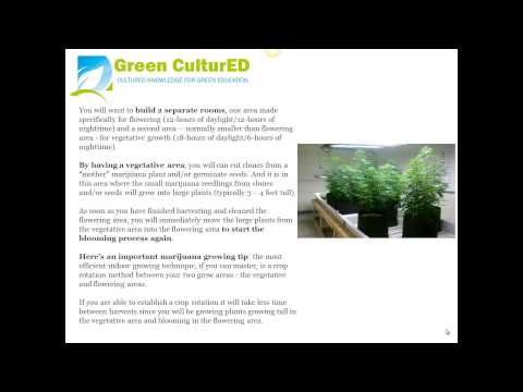 Ten Indoor Medical Marijuana Growing Tip (s)