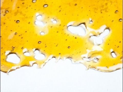 Knottyy's Chocolope x White Super Skunk Shatter Video