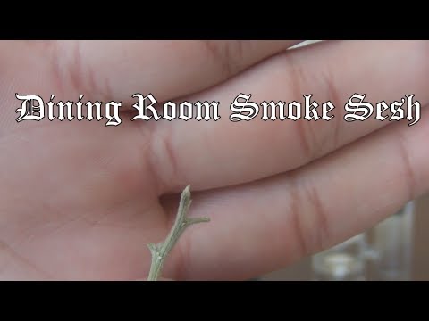 Dining Room Smoke Sesh