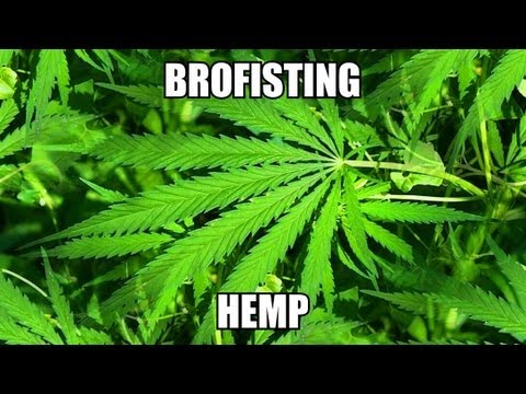Brofist punching hemp/marihuana -brofist adventures