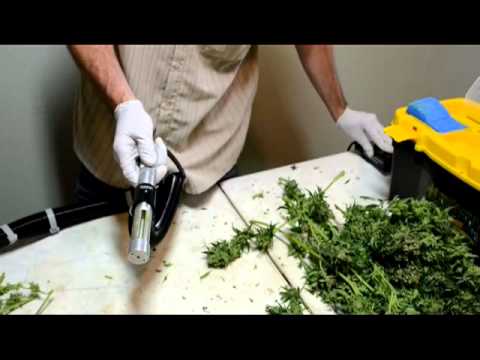 Wolrds best marijuana hand trimmer