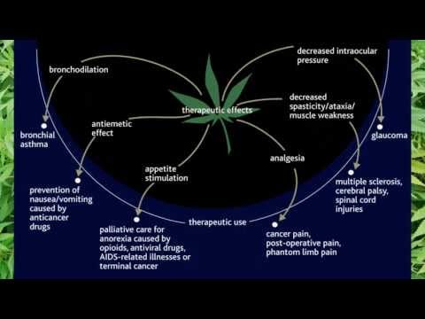 Cannabinoid Diagrams and Research - Cannabis Science