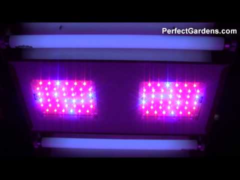 Indoor Gardening Expo 2013: SolarStorm & SolarFlare LED