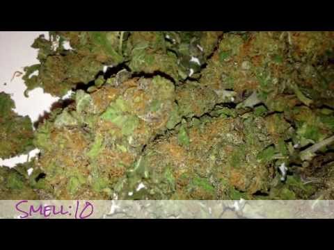 Top 10 Bud Strains 2013 (season1)