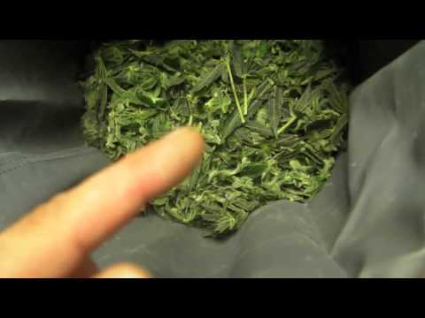 How To Make Cannabis Ice Wax Bubble Hash) Tutorial