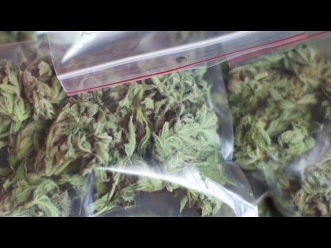 Feds loosen marijuana enforcement in WA and CO