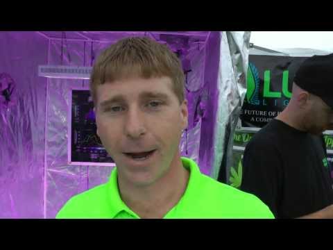 Seattle Cannabis Cup - LUSH Led Lighting