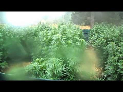 Thunder storm...OMMP Outdoor 9/5/13