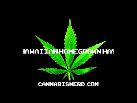 820 Cannabis Names - CannabisNerd.com