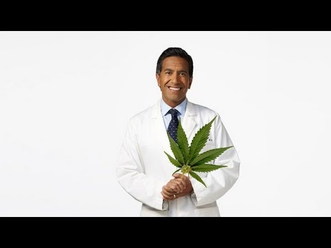 Weed Dr Sanjay Gupta Reports (Full)