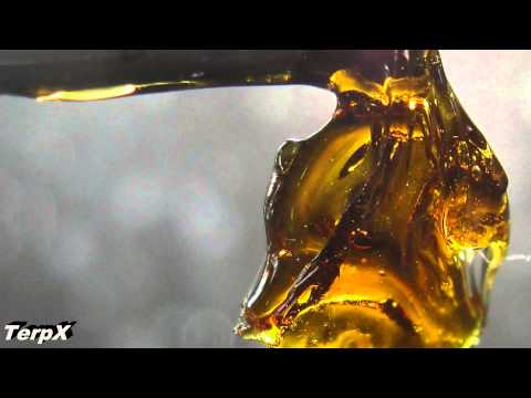 710 / 420 PARADISE - Gold Coast - Chalice Errl - TerpX - ECHC - Some of LA's best BHO Dabs Oil