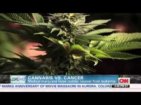 Cannabis vs Cancer Dr. Sanjay Gupta CNN - The CBD Discovery