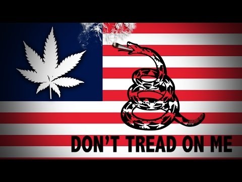 MARIJUANA LEGALIZATION SUPPORTED BY MAJORITY OF AMERICANS!