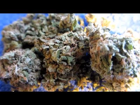 SSTV. Strain Review : ABC Delivery - (Outdoor) Strawberry Cough