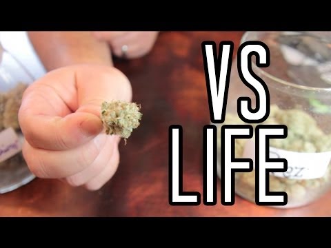 Buying medical marijuana in Denver | JackVsLife