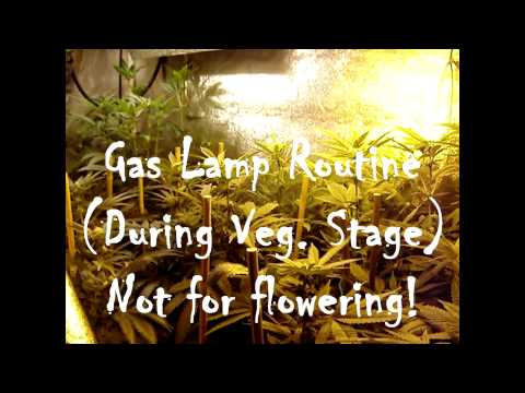 Icemud's Grow Videos: How to reduce your electricity usage on your indoor medical marijuana grow.