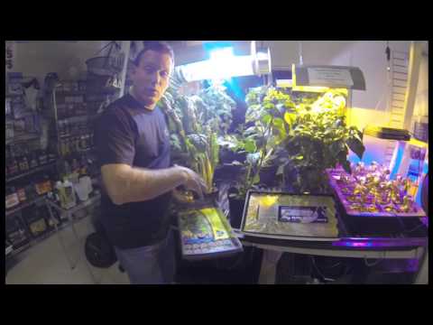 Hydroponic Growing Tips