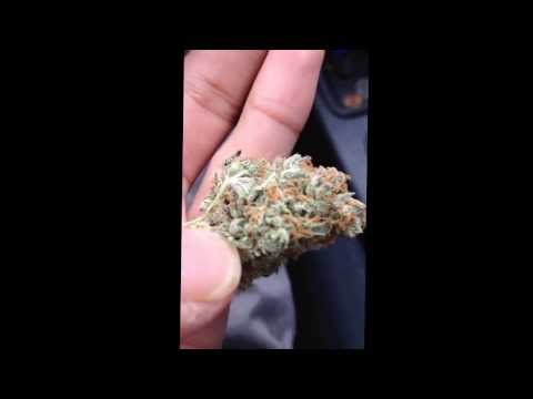 Medical marijuana exclusive