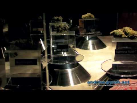 The 2013 Cannabis Cup Amsterdam Expo Part 2