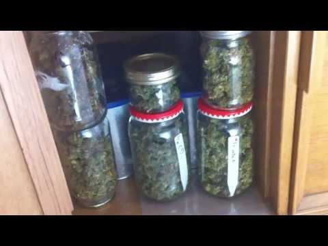 The Every-Lumen Marijuana Grow - Part 1