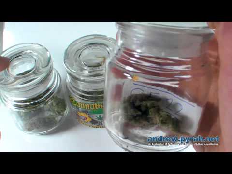 The Winning Strains - 2013 Cannabis Cup Amsterdam