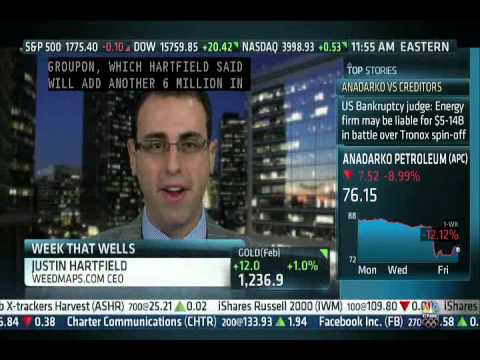 CEO of WeedMaps.com, Justin Hartfield Discusses Business Prospects for 2014 on CNBC