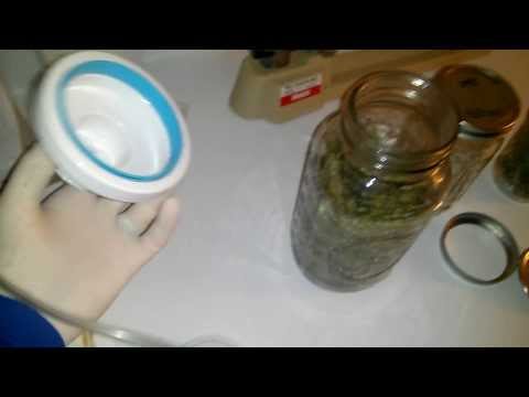 How I Dry & Cure My Buds... Mason Jar Review / Vacuum Sealer Review : )