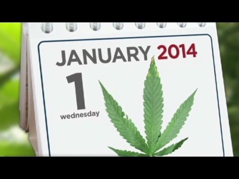 Colorado marijuana business: We're the Amsterdam of ...