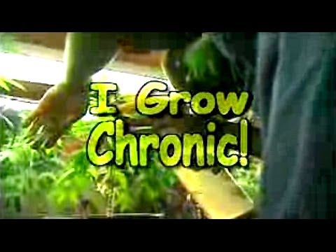 I Grow Chronic! Cannabis Hydro Cultivation (Full Documentary)