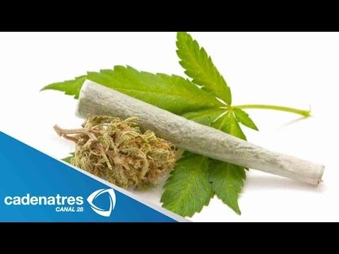 Crean medicamento con mariguana en Francia