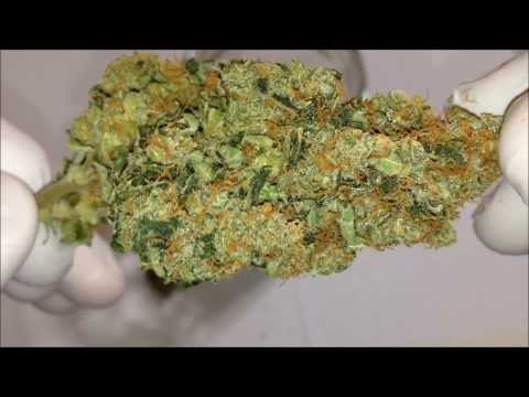 Chemdawg Bud Video