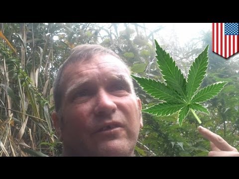 Youtube pot growing video help police track down man