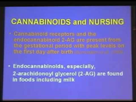 #Cannabinoids in Neonatal Development & Pain, Ester Fride, PhD, MSc