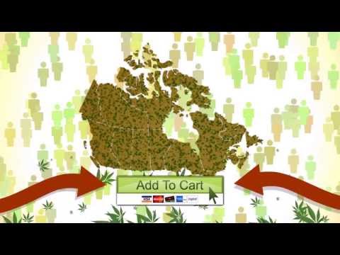 Complete Step By Step Guide To Growing Marijuana ! ( How To Grow Weed )