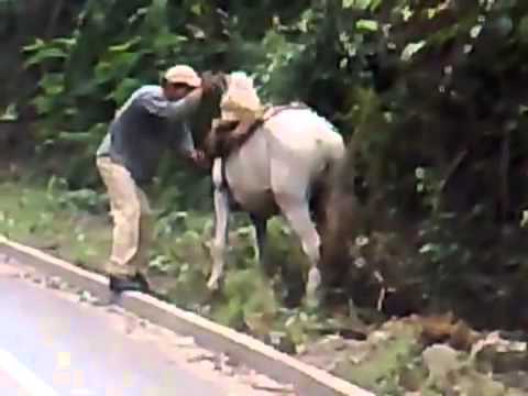 Bêbado tentando subir no cavalo! Muito engraçado! Drunk men trying to climb the horse