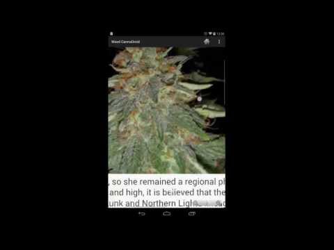 Weed CannaDroid HD