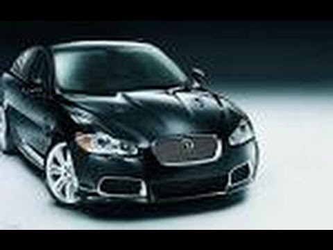 Ten facts about Jaguar - All about Facts - Utubetips