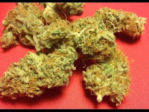 PINEAPPLE EXPRESS authentic AMAZING CANNABIS?! Strain Review 1