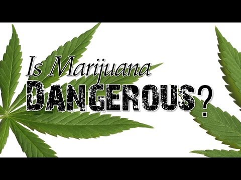 Is Marijuana Dangerous?