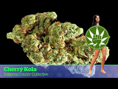 Marijuana (Free Download)